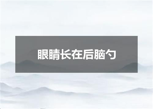 眼睛长在后脑勺