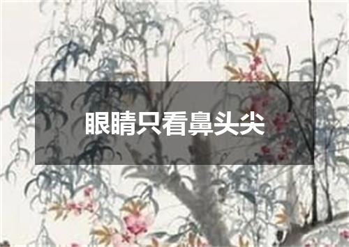 眼睛只看鼻头尖