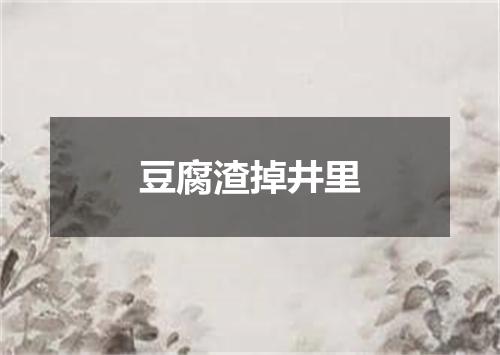 豆腐渣掉井里