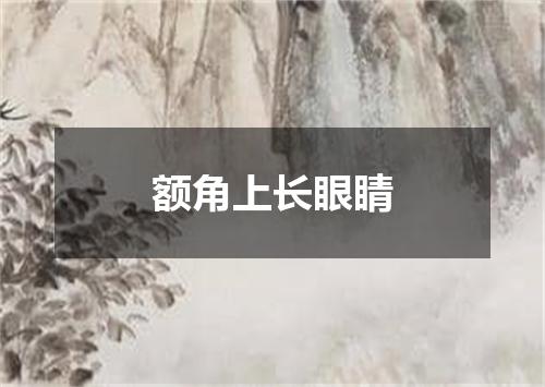 额角上长眼睛