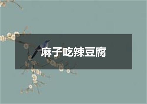 麻子吃辣豆腐