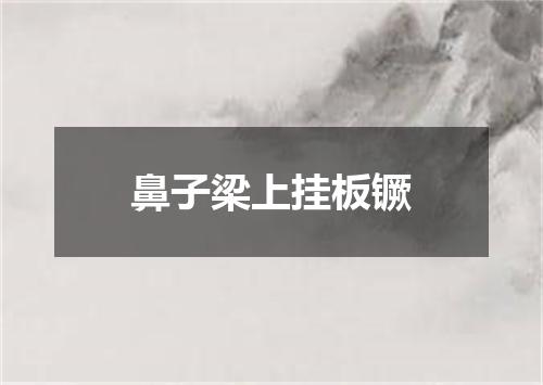 鼻子梁上挂板镢