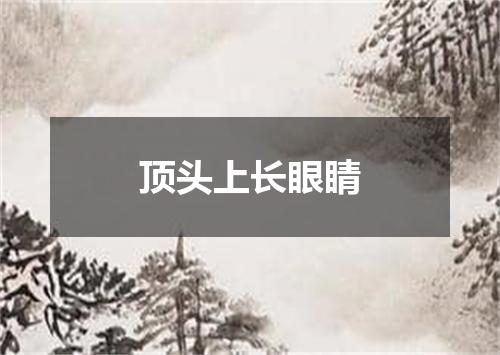 顶头上长眼睛