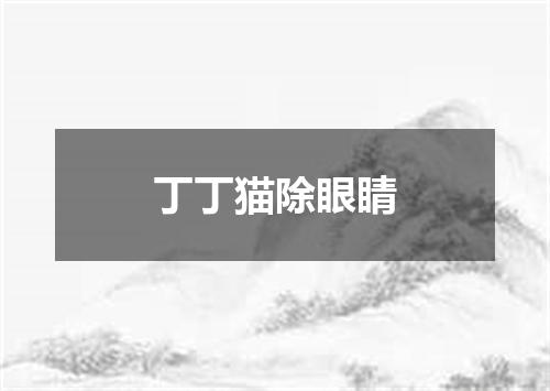 丁丁猫除眼睛