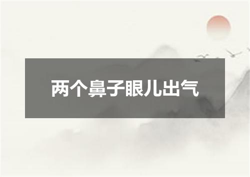 两个鼻子眼儿出气