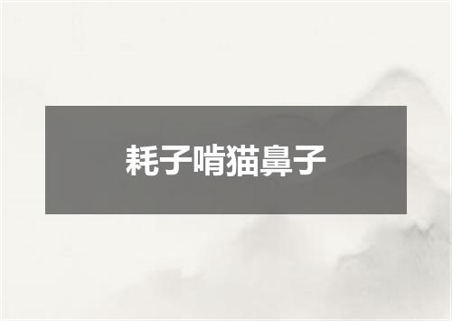 耗子啃猫鼻子