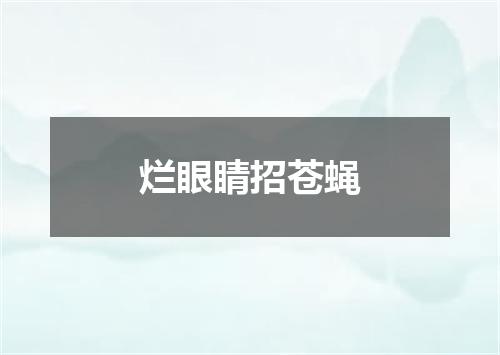烂眼睛招苍蝇