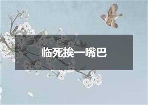 临死挨一嘴巴