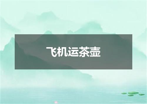 飞机运茶壶