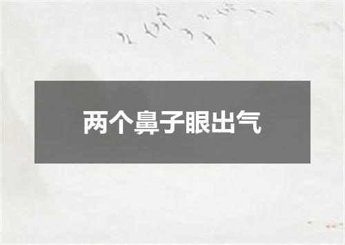 两个鼻子眼出气
