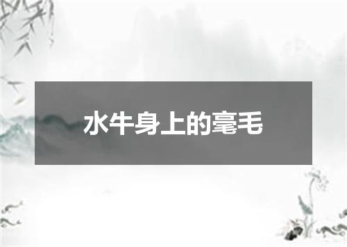 水牛身上的毫毛