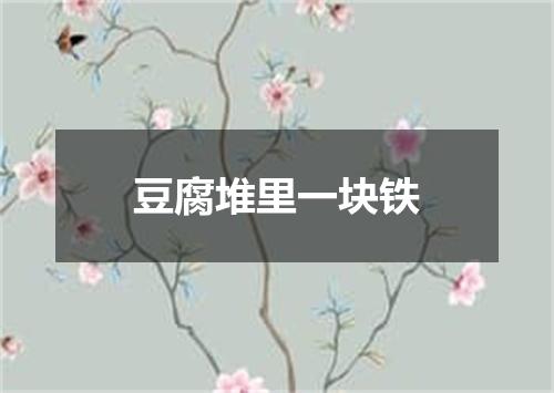 豆腐堆里一块铁