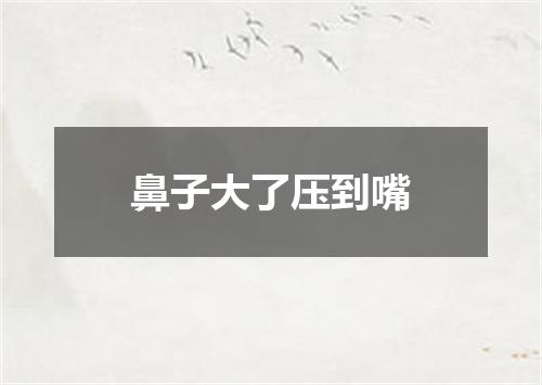 鼻子大了压到嘴