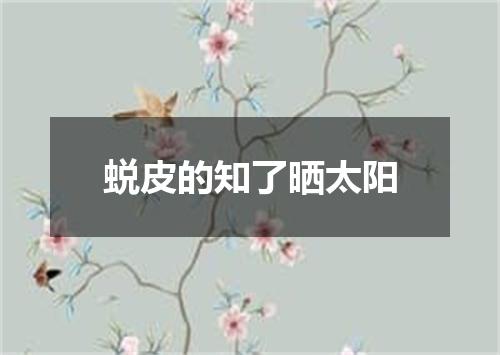蜕皮的知了晒太阳