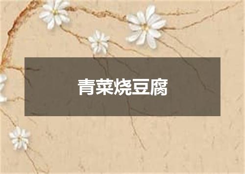 青菜烧豆腐