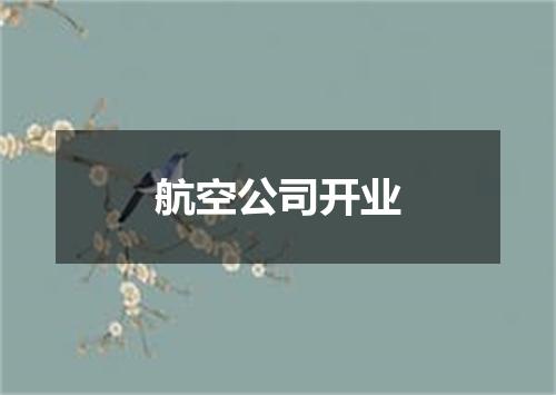 航空公司开业
