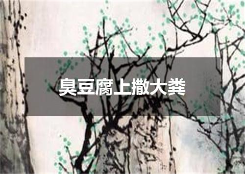 臭豆腐上撒大粪