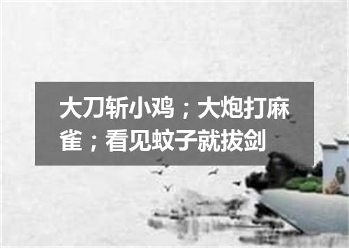 大刀斩小鸡；大炮打麻雀；看见蚊子就拔剑
