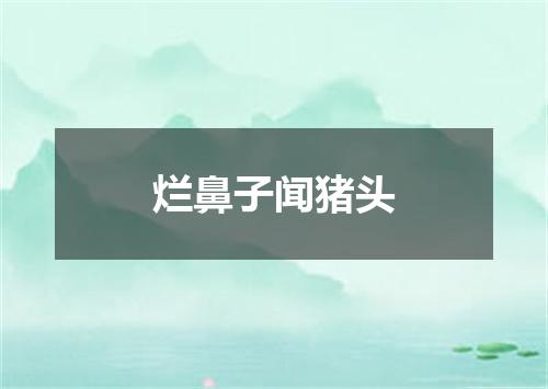 烂鼻子闻猪头