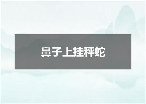 鼻子上挂秤蛇