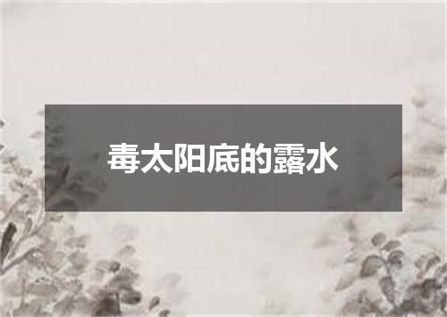 毒太阳底的露水