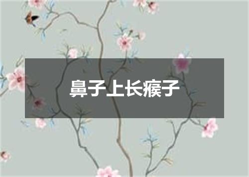 鼻子上长瘊子