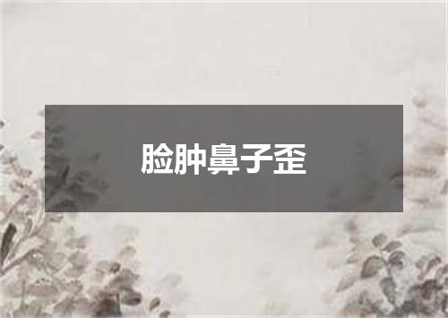 脸肿鼻子歪