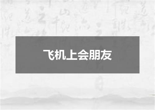 飞机上会朋友