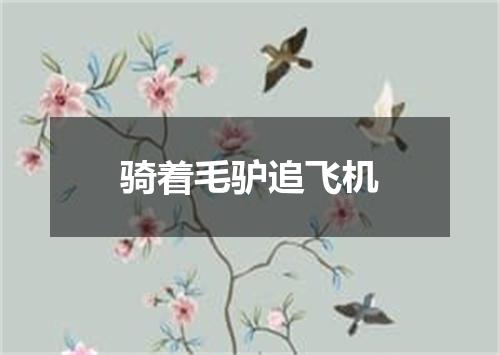 骑着毛驴追飞机