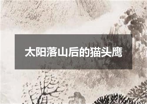 太阳落山后的猫头鹰
