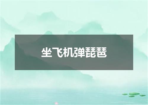 坐飞机弹琵琶