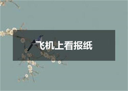 飞机上看报纸