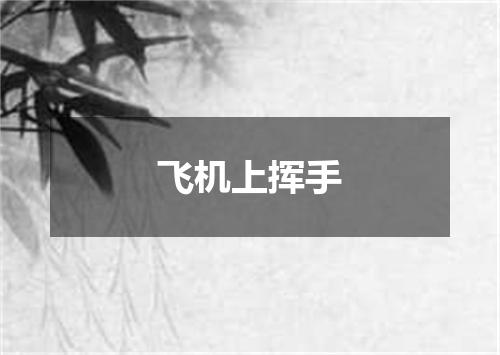 飞机上挥手