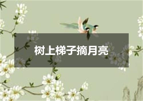 树上梯子摘月亮