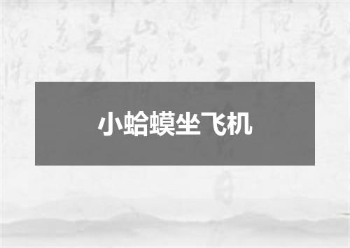 小蛤蟆坐飞机