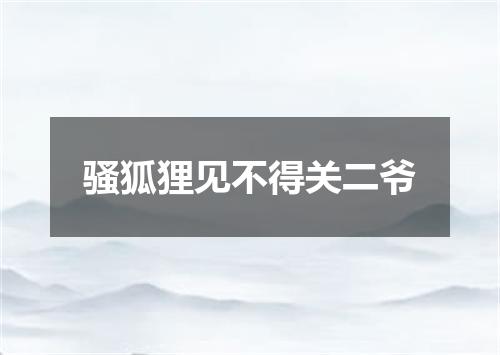 骚狐狸见不得关二爷