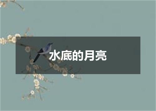 水底的月亮