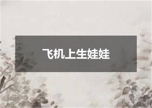 飞机上生娃娃