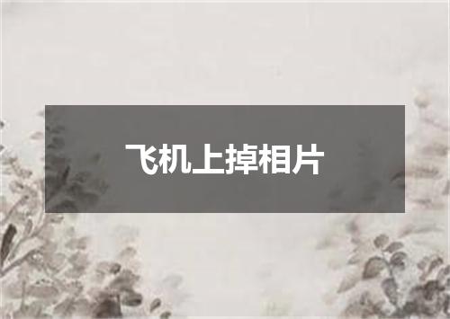 飞机上掉相片