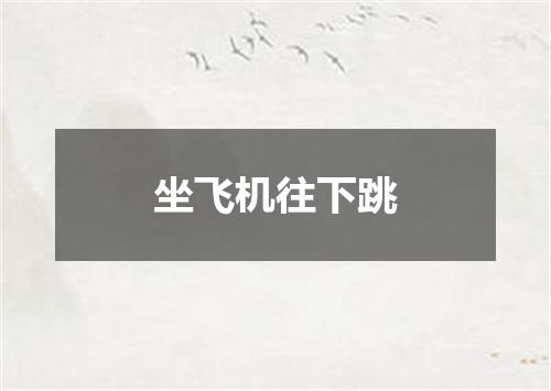 坐飞机往下跳