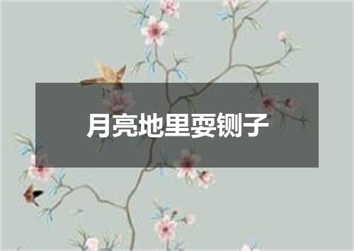 月亮地里耍铡子