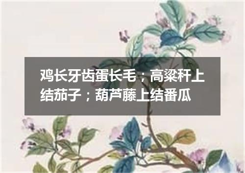 鸡长牙齿蛋长毛；高粱秆上结茄子；葫芦藤上结番瓜