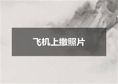 飞机上撒照片