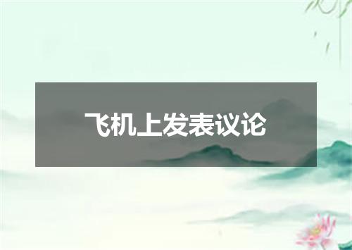 飞机上发表议论