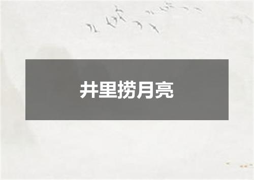 井里捞月亮