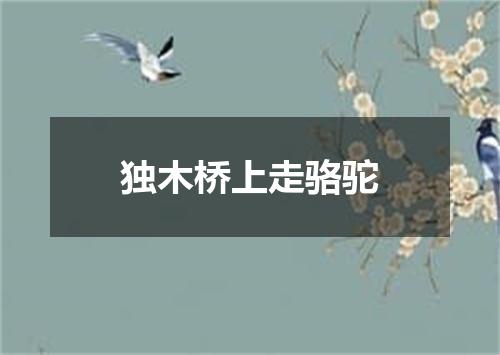 独木桥上走骆驼