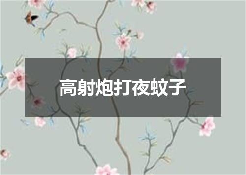 高射炮打夜蚊子