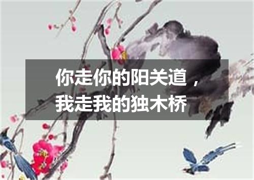 你走你的阳关道，我走我的独木桥
