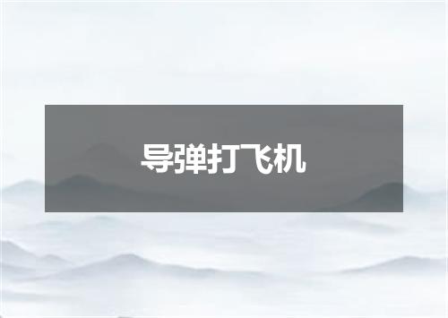 导弹打飞机