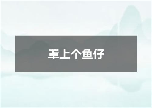 罩上个鱼仔
